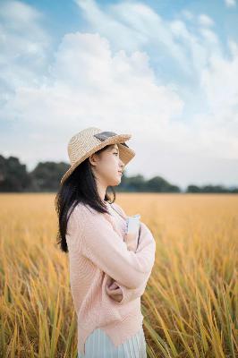 芳草地电影免费观看