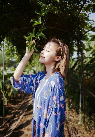 花房姑娘免费观看全集,姑娘视频在线观看中国电影