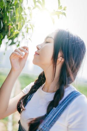 美丽的小蜜蜂1