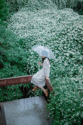 超女免费高清电影在线观看